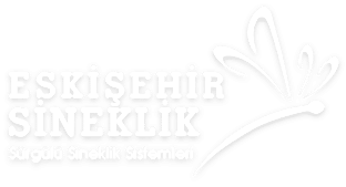 Eskişehir Sineklik