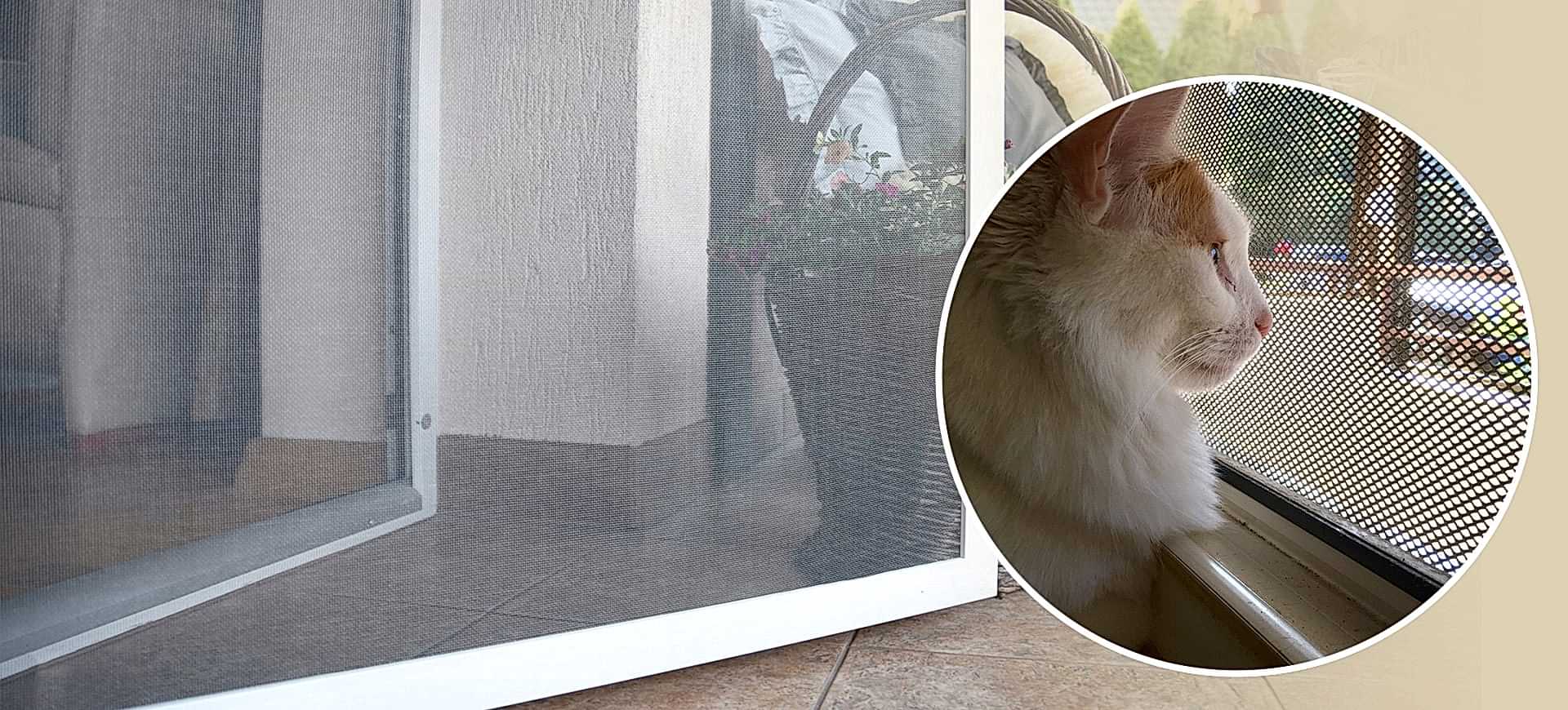 Kedi Sinekliği ile Pencereler, Balkonlar Güvende